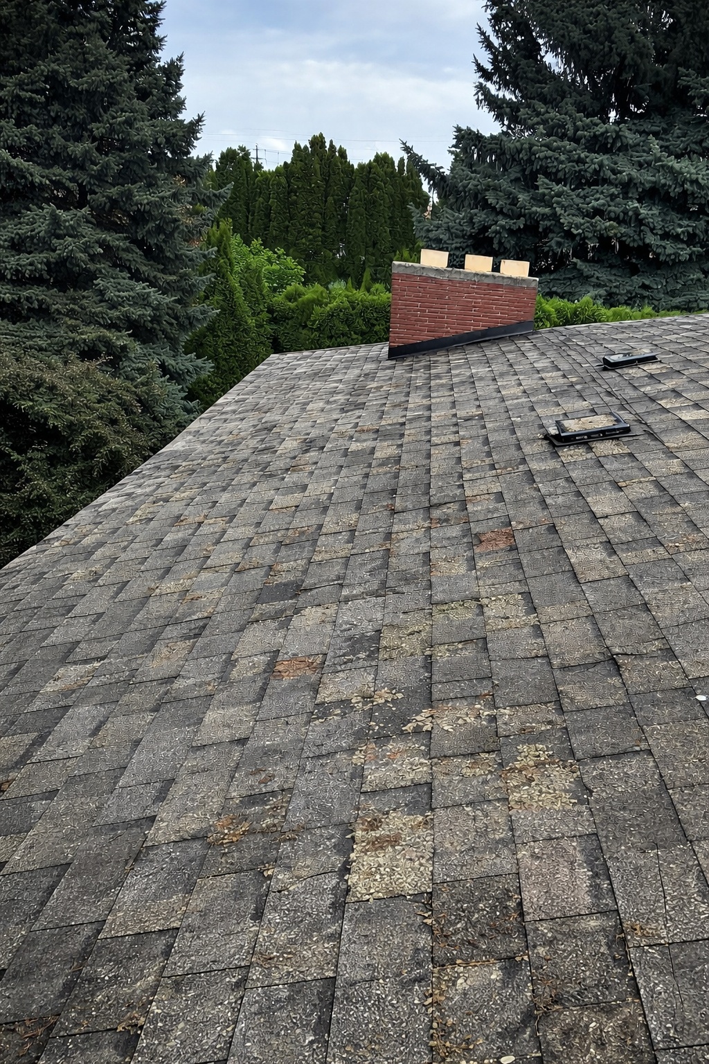 Wind Damage Roof Insurance Claims in Spokane: A Step-by-Step Guide